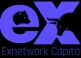 exnetworkCapital